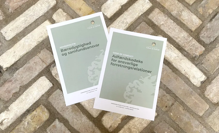 Politikker Foto Mursten