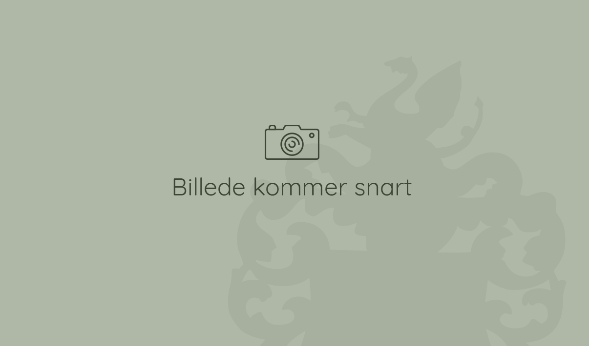 Billede Kommer Snart_Medarbejderportræt