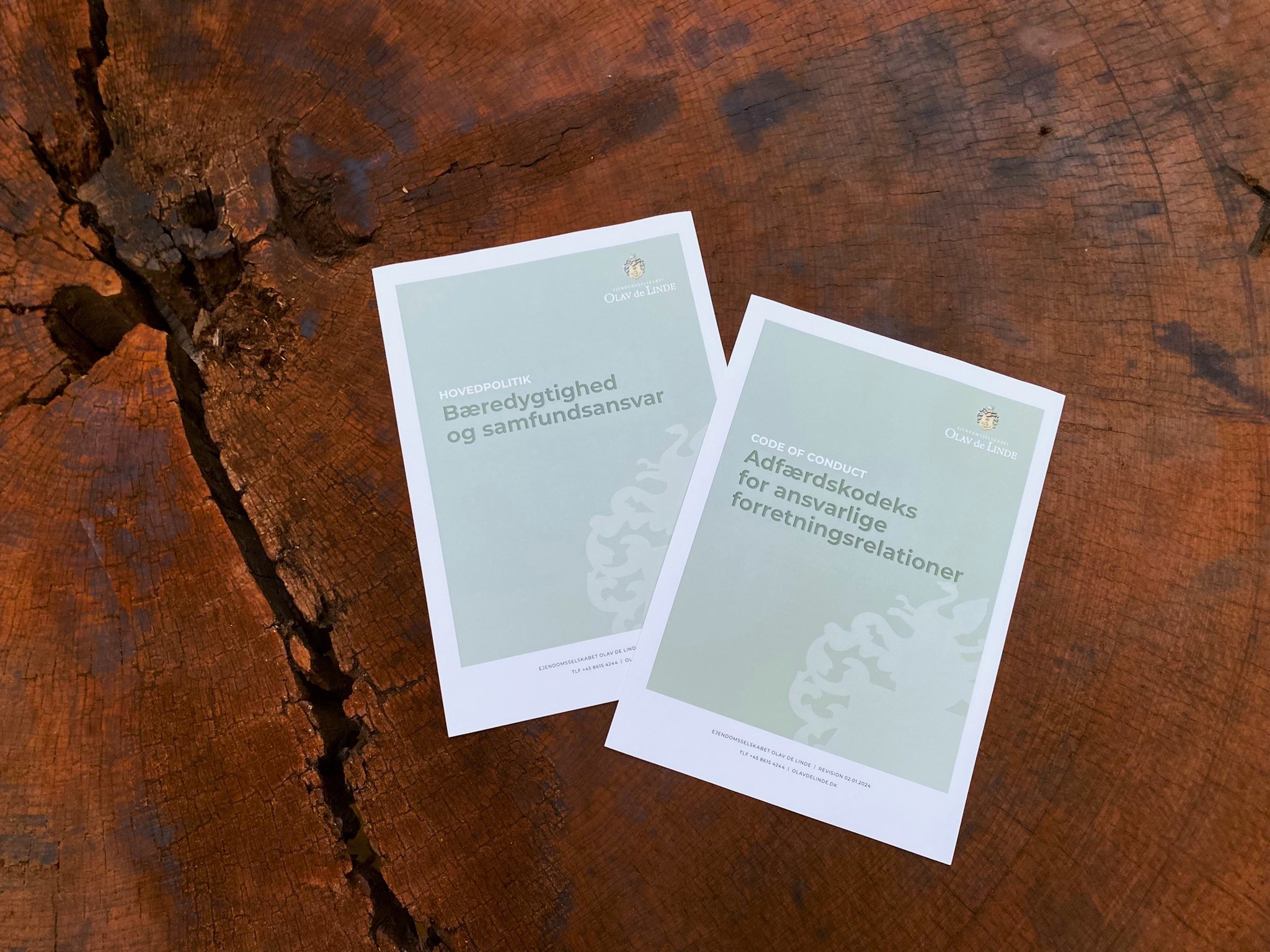 Politikker Foto Redigeret